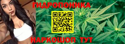 кокс Канаш