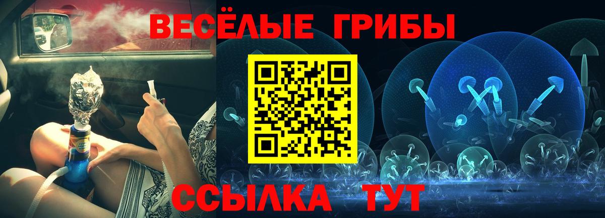 Галлюциногенные грибы Psilocybine cubensis Красноуфимск