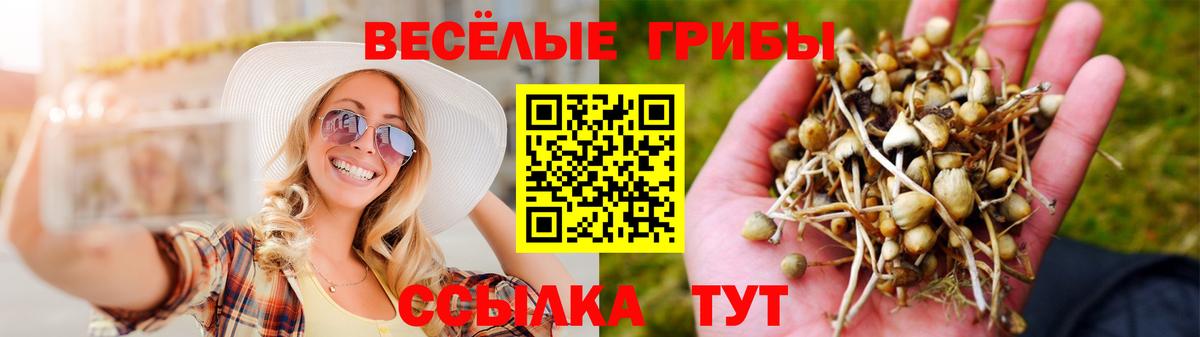 Псилоцибиновые грибы Psilocybine cubensis  Галлюциногенные грибы GOLDEN TEACHER  Красноуфимск  Вход с VPN 